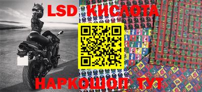 ГАЛЛЮЦИНОГЕННЫЕ ГРИБЫ Коммунар