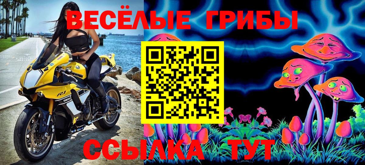 Кисловодск  что такое наркотик  Вход с VPN  Псилоцибиновые грибы мухоморы 